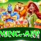 Baazplay Max Gaming App