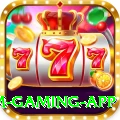 dhoni Premium Gaming App